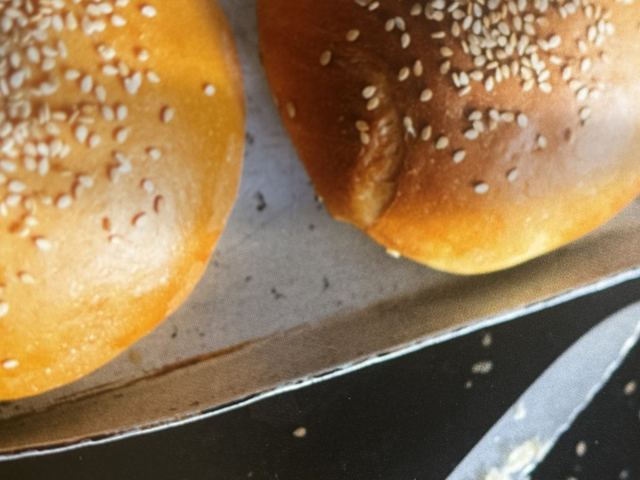 Pains burger